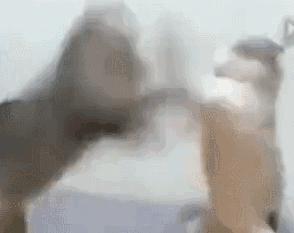 ����֤��ӡ��ǧ���������ã�һ��С�ľͿ�����ҵ�����