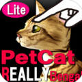 ����è-����ʽ����3Dè ���� ��Ѱ�-Bengal Petting cat lite V3.6